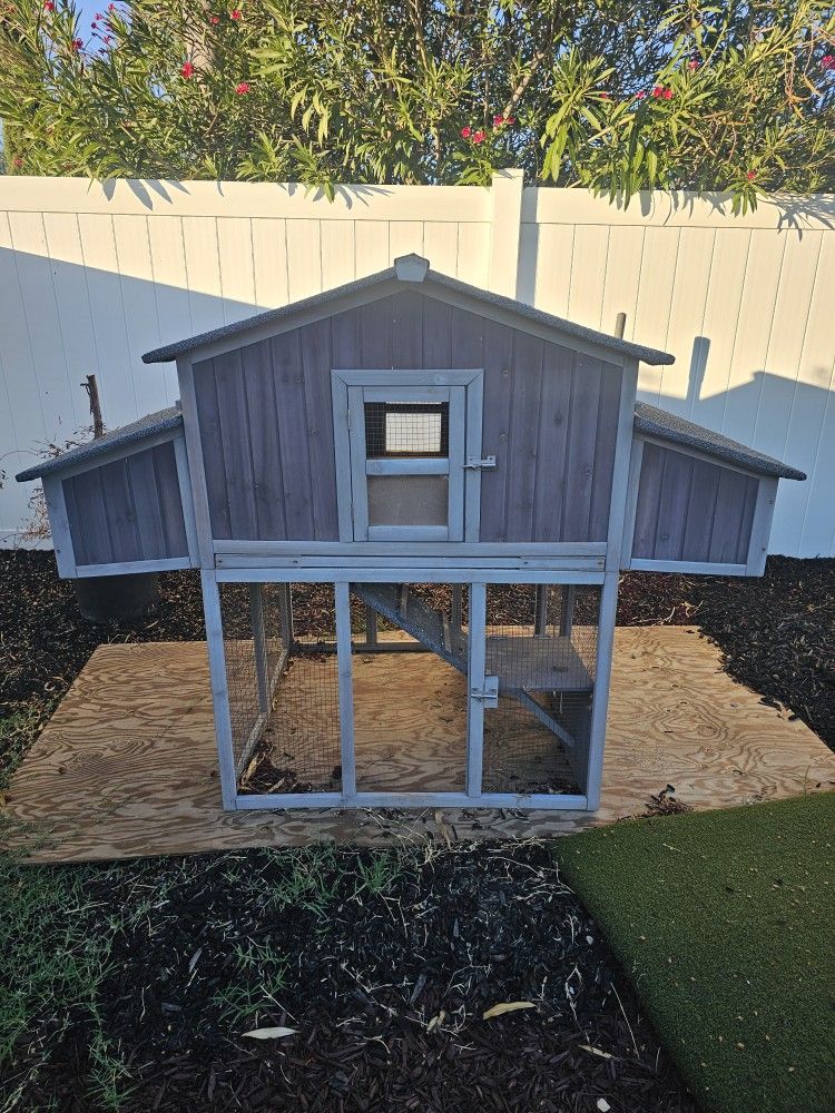 Chicken Coop House