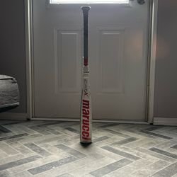 Baseball Bat