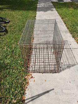 Dog Cage