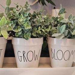 Pots With Faux Plants 