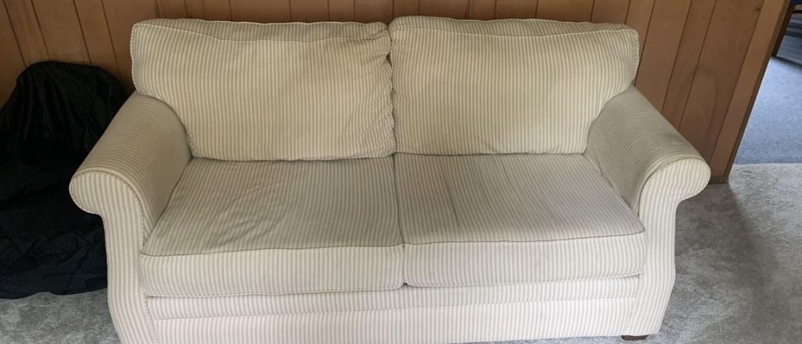Sleeper Sofa 2 Seat Couch and Chair