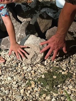 Landscape rock