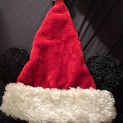 Mickey Mouse Hat Youth Size $10