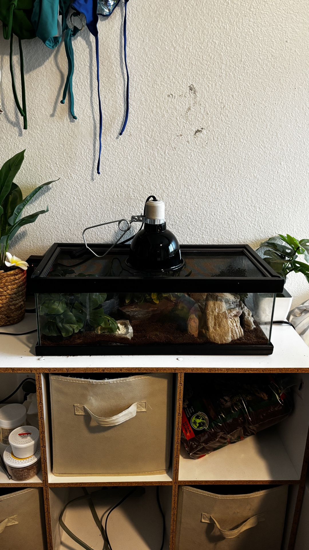 Reptile Tank