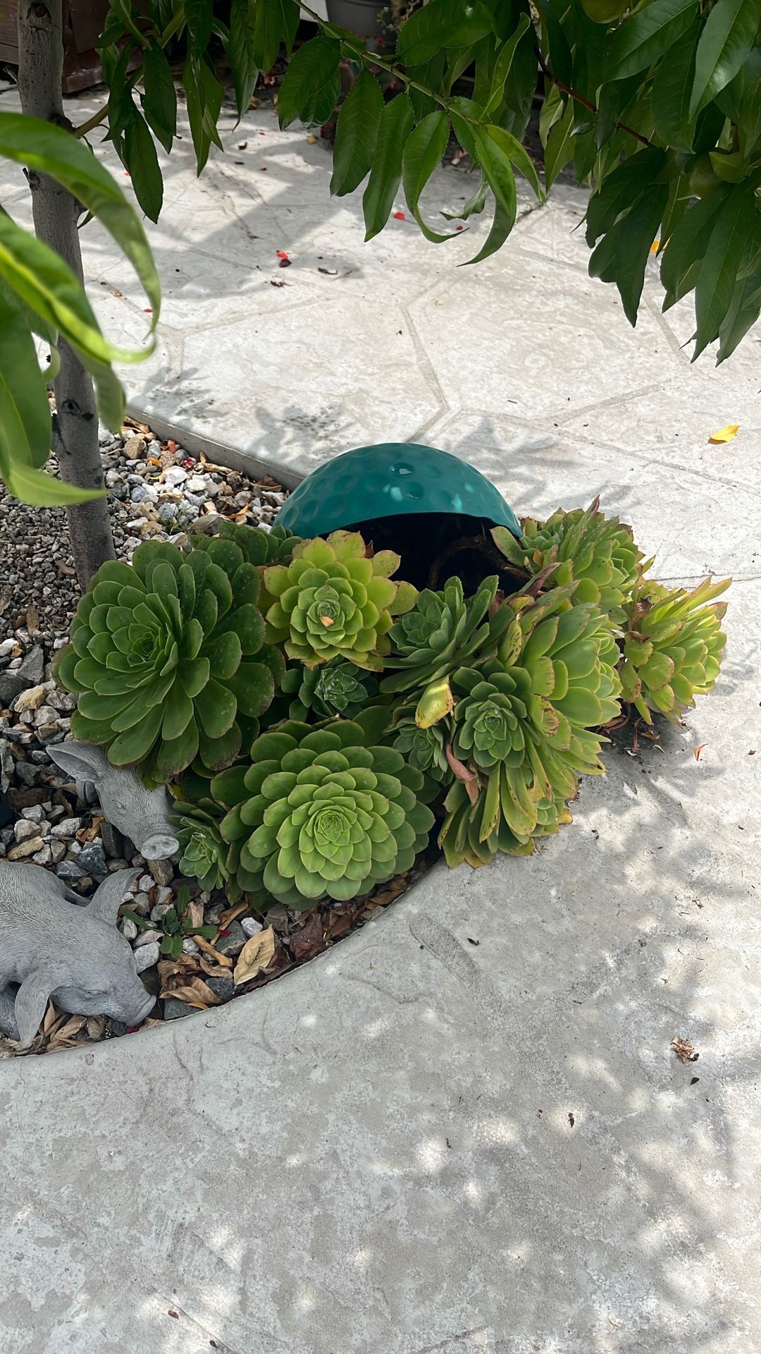 Montain Flowers Ball Pot, $19