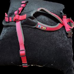 Dog Harness