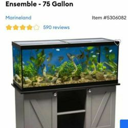 75gal Fish Tank And Stand 