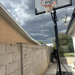 Basketball Hoop 