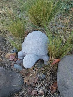 Turtle concrete garden statuary