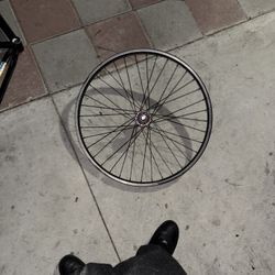 Back wheel 29in goon