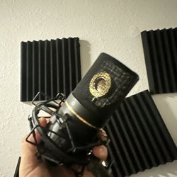 MXL 770 Studio Microphone 