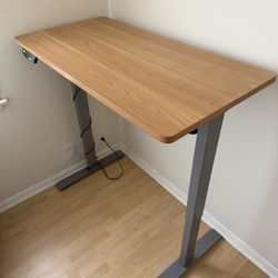 Standing Desk 
