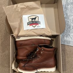 Irish Setter 9.5
