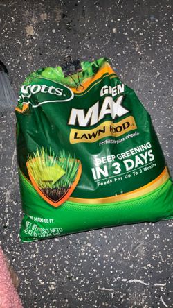 Scott Grass Seeds