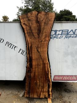 Live Oak - Live Edge Rustic Slab Lumber 8 feet long x 3” thick / 60 board feet