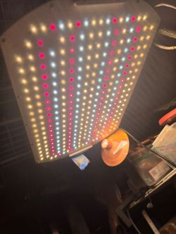 Grow light