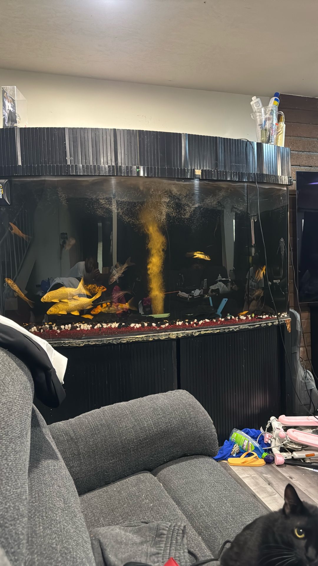 300 Gallon Fish Tank