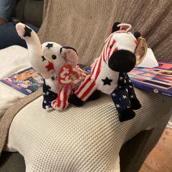 TY beanie babies Huey and Dewey political standpoint