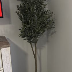 6ft Artificial Olive Tree 