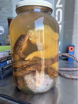 Science Jar