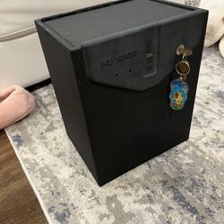 Biometric Quick Access Safe
