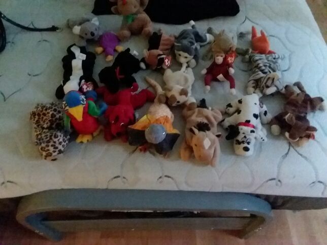 19 Beanie Babies All Kinds New Condition YBO