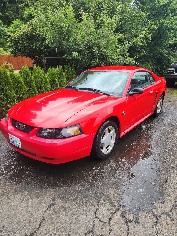 2004 Ford Mustang