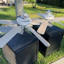 Free By Road ceiling Fans