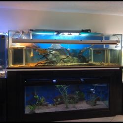 Glass 300 Gallon Tank 