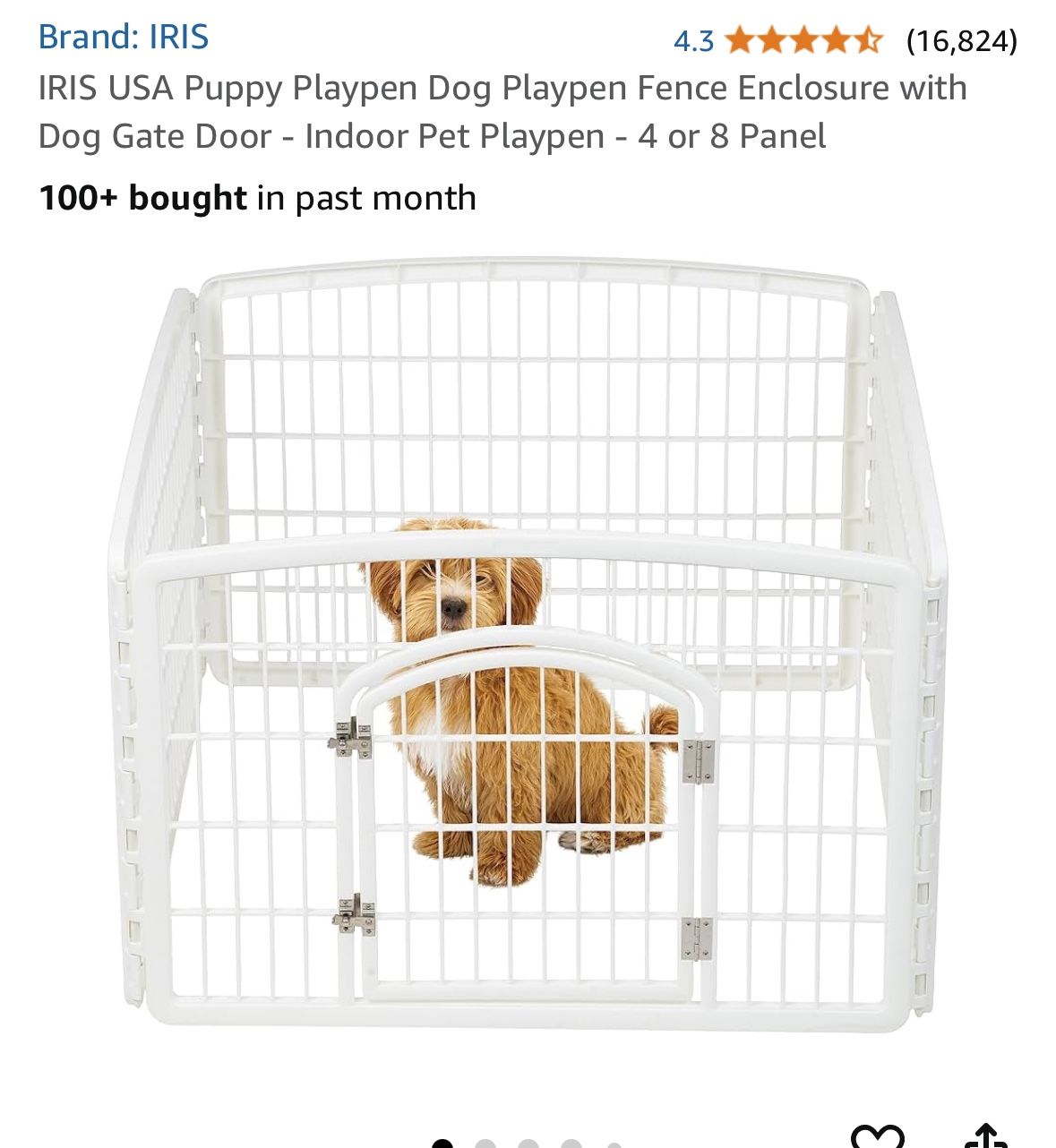 Dog Cage 