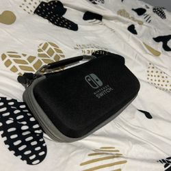 Case for the Switch Mini