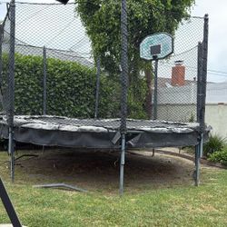 Free Trampoline-must Pick Up And Haul Yourself