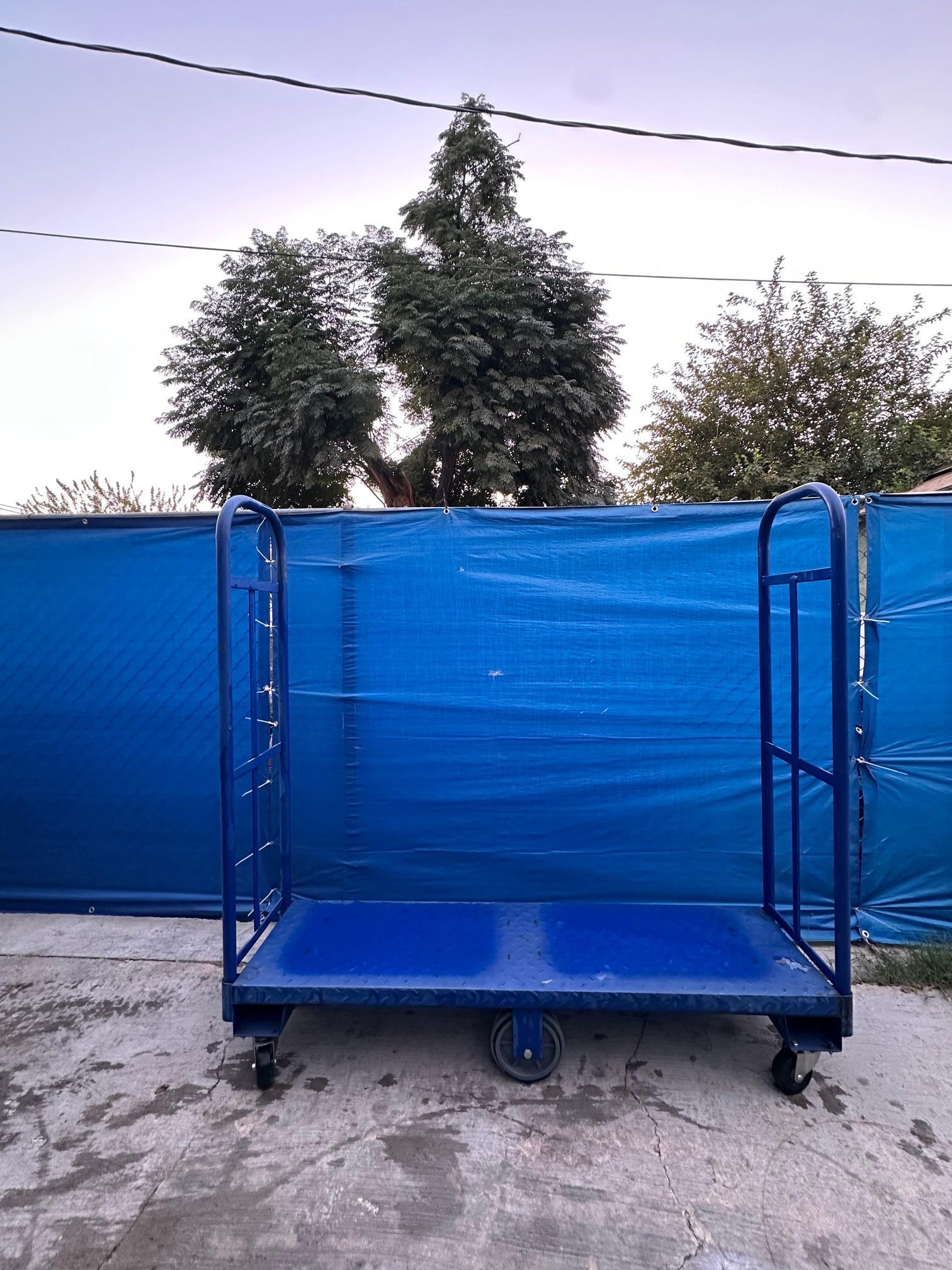 Comercial Cart 