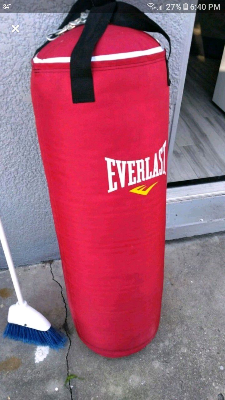 Everlast 80lb punching bag