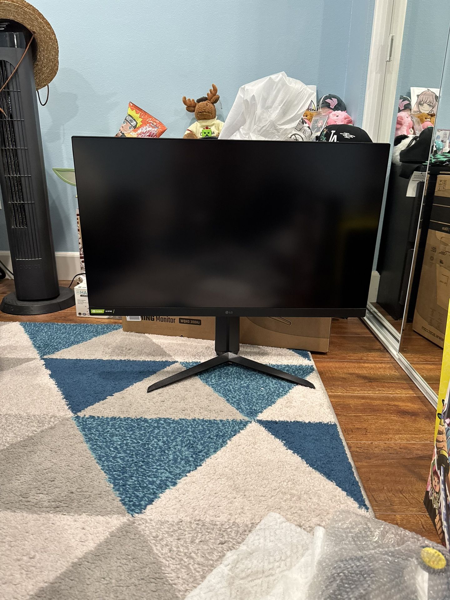 LG Ultragear Monitor