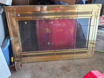 Fireplace door
