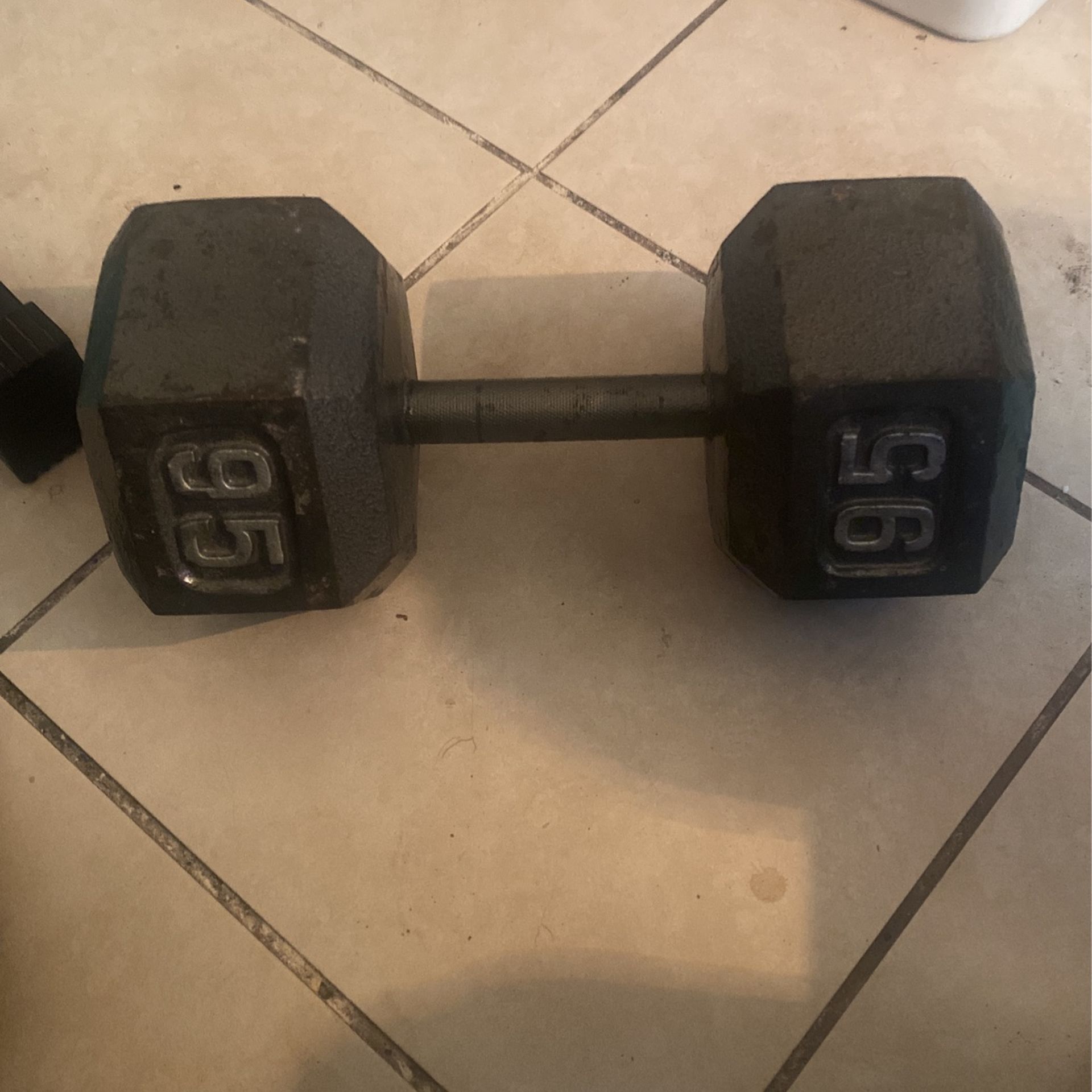 95 Lb Dumbell 