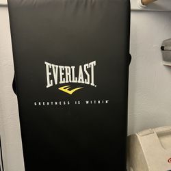 Everlast Punching Shield Bag
