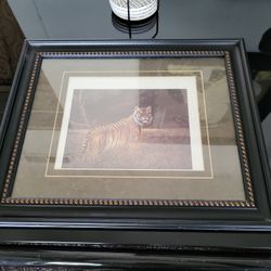 Tiger Frame 16×14