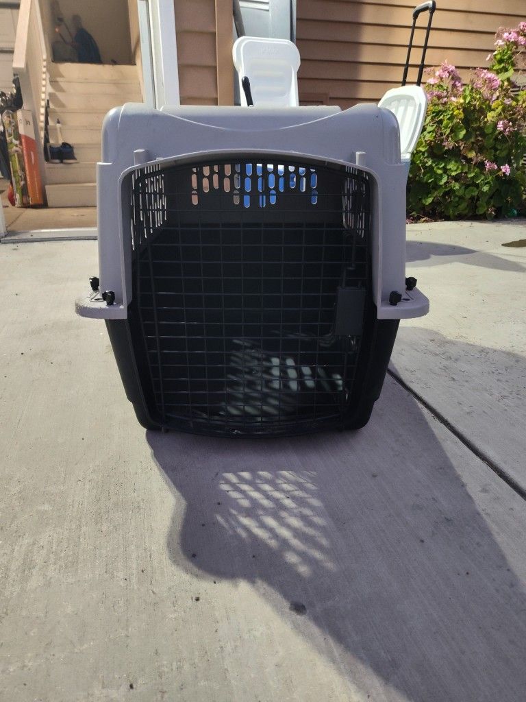 Dog Crate