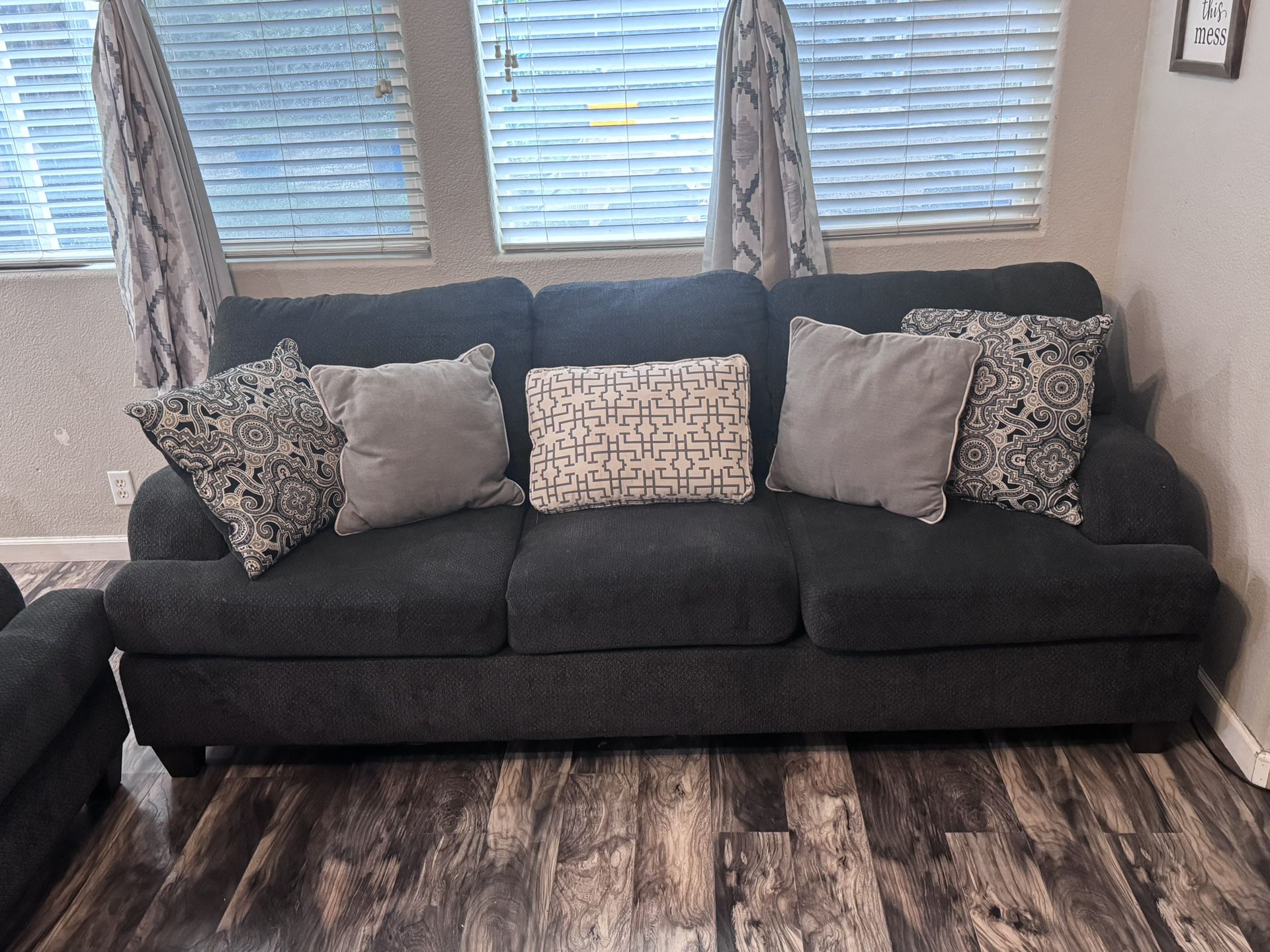 Gray Couch And Live Seat