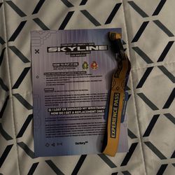 Skyline 2 Day Wrist Band