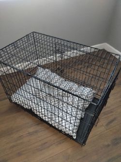 Dog supplies