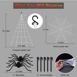Spider Web And Spider