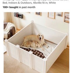 Dog Kennels 