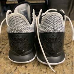 Nike LeBrons Sneakers 