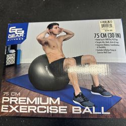 75cm Exercise Ball