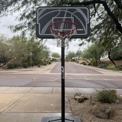 Lifetime Adjustable Portable Basketball Hoop (44 Inch Impact)