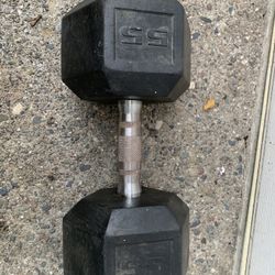 1 Single 55lb Dumbell Weight