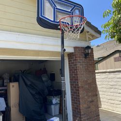 Basketball Hoop Lifetime